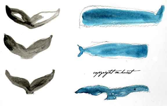 WHALES_TAILS_01