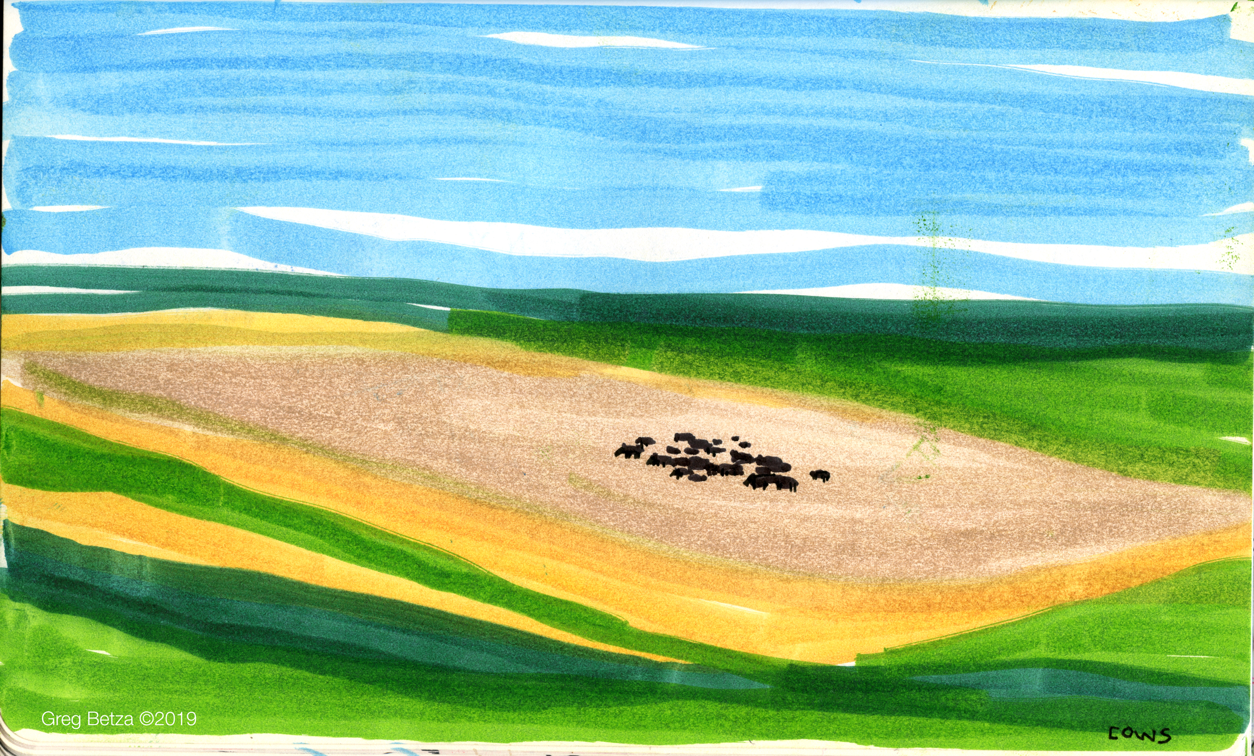 Kansas plains and cattle