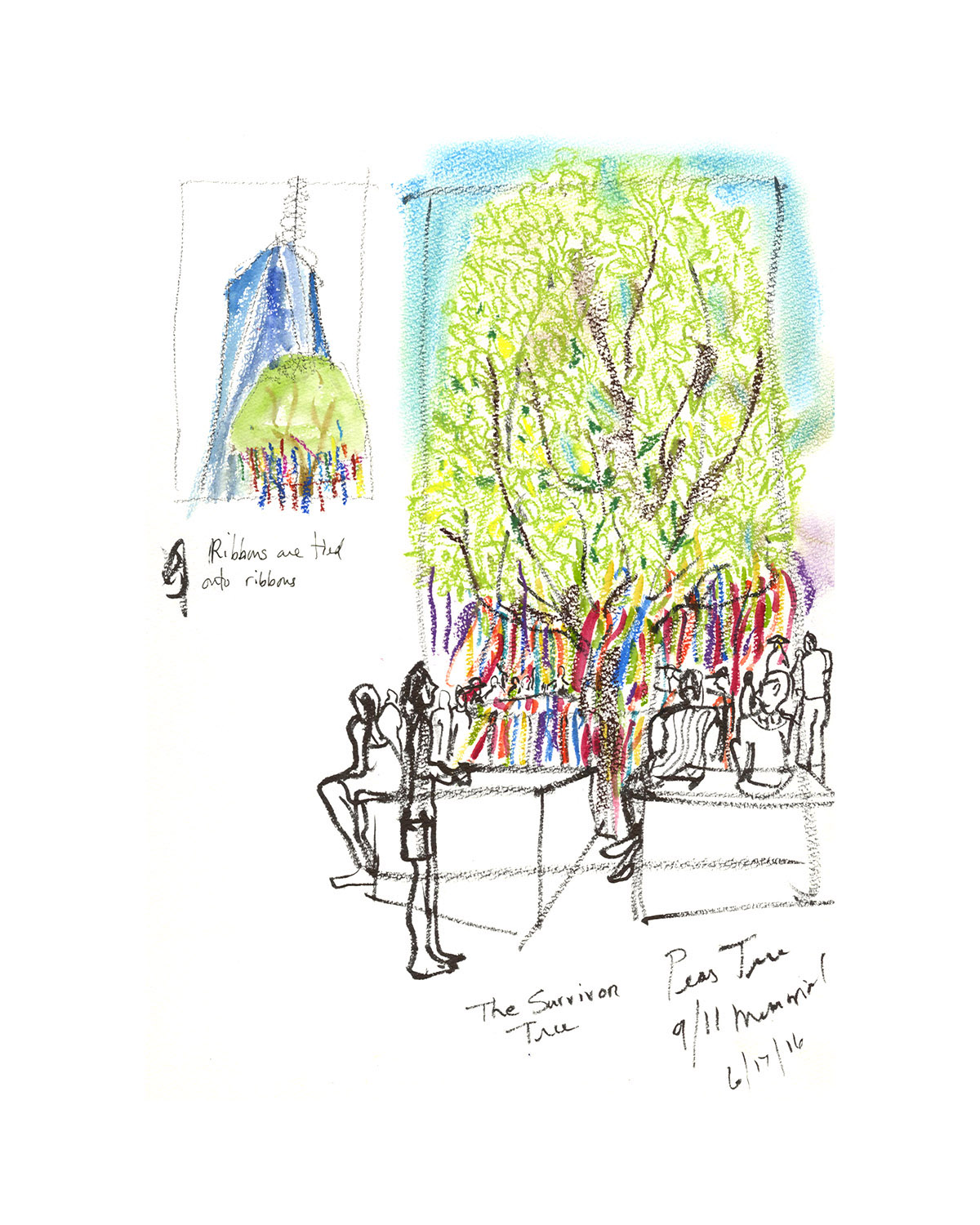 Survivor Tree at 9/11 Memorial