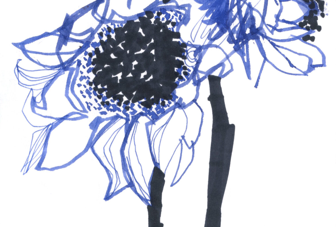 drawing of sunflowers